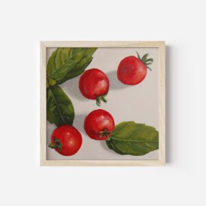 Cherry Tomatoes | 6"x6"